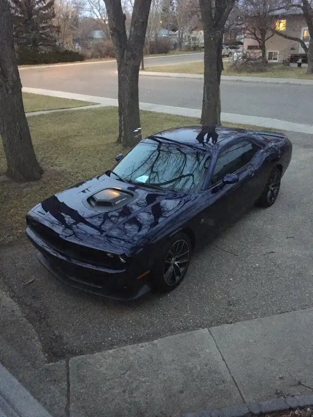 Premium Car in Classic Cars in Swift Current - Image 6