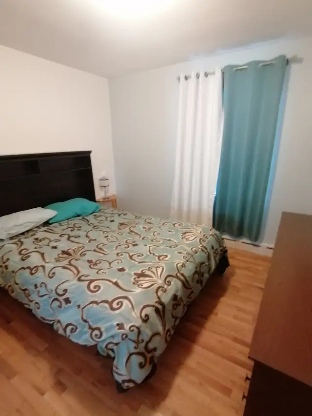 Recherche colocataire ST-Anaclet-de-Lessard in Room Rentals & Roommates in Rimouski / Bas-St-Laurent - Image 6