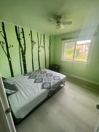 3 rooms for rent for females
