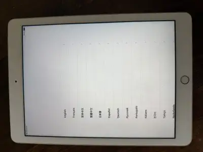 5th Gen IPad, View more