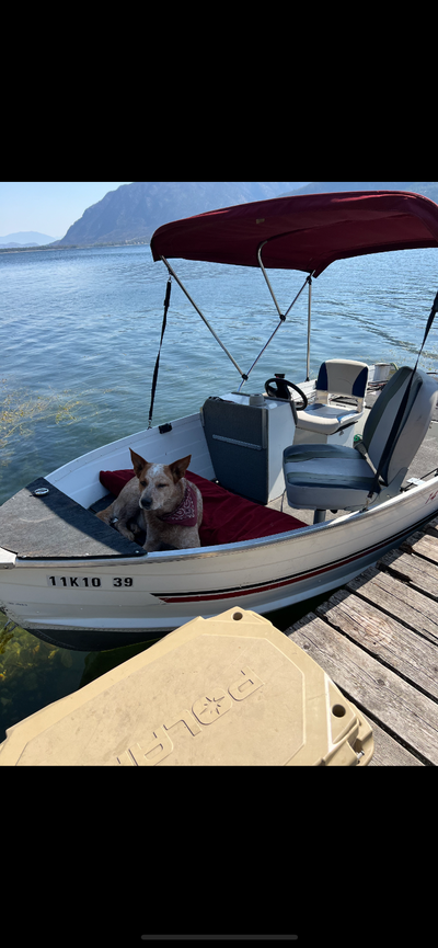 REGRETFULLY selling our boat. Unfortunately we didn’t get the use out of our beloved boat as much as...