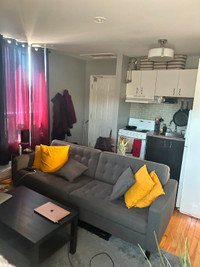 Short Term Sublet $1300 (All Inclusive) July 1-July 31