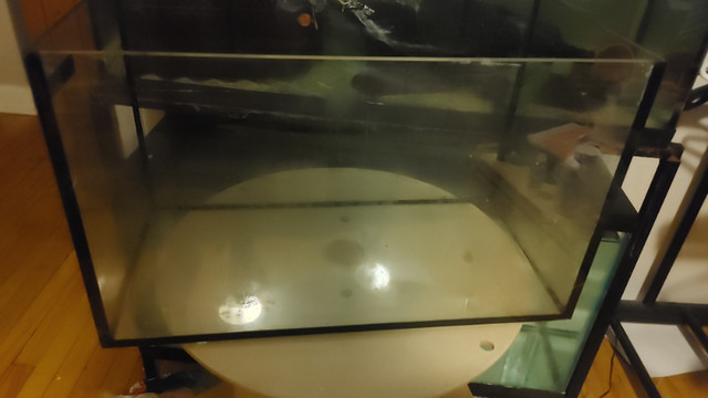 10 gallon tank with top cover for Aquarium Fish Tank in Fish for Rehoming in Ottawa