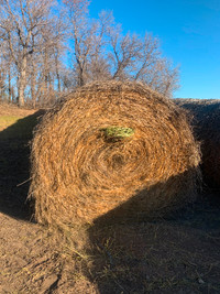 Grass/Clover Hay Bales for Sale