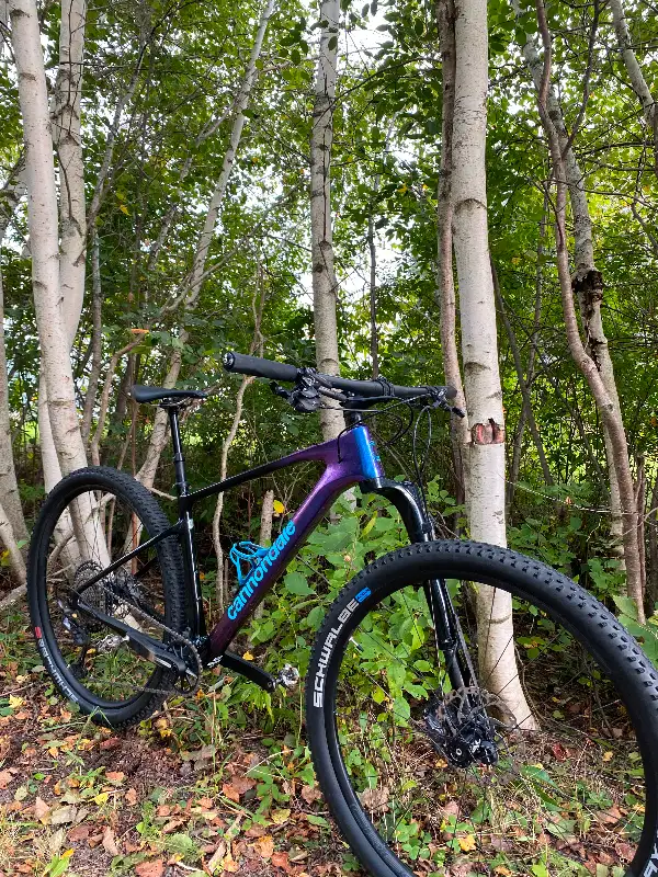 Cannondale Scalpel HT 2 in Mountain in Moncton - Image 6