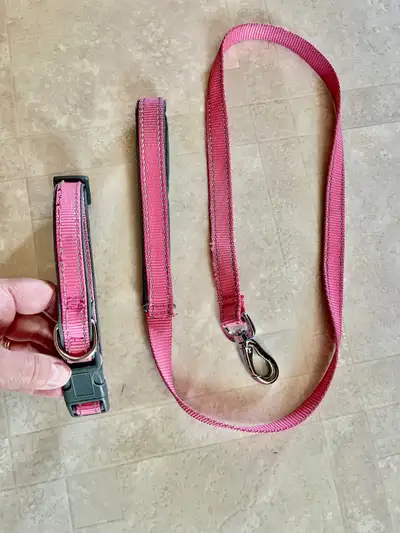 Dog Leash and Collar $20, View more