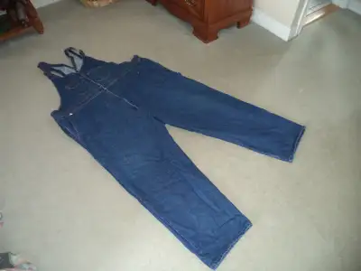 BIB OVERALLS   LARGE SIZE, View more