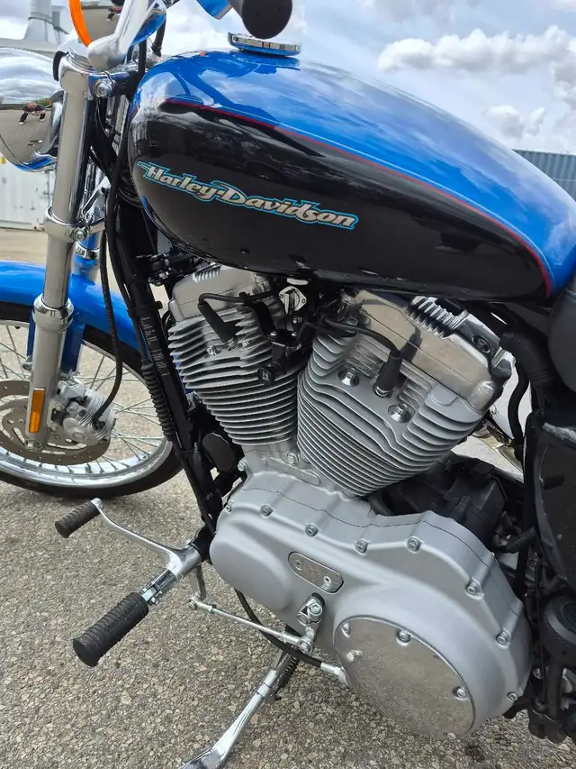 2004 Harley Davidson Sportster 883 -1923 km in Street, Cruisers & Choppers in Edmonton - Image 7