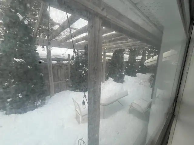 Room for Rent – $800/month | Friendly, Respectful Home in Short Term Rentals in Peterborough - Image 19