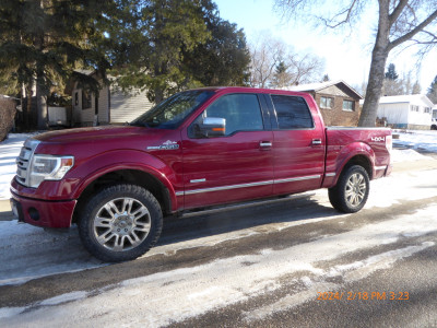 2014 FORD Truck for Sale - F-150 4X4 Platinum -$18,900.