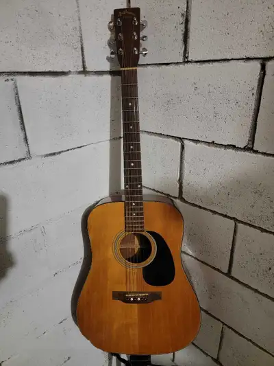 Aria Dreadnought Acoustic Guitar, View more