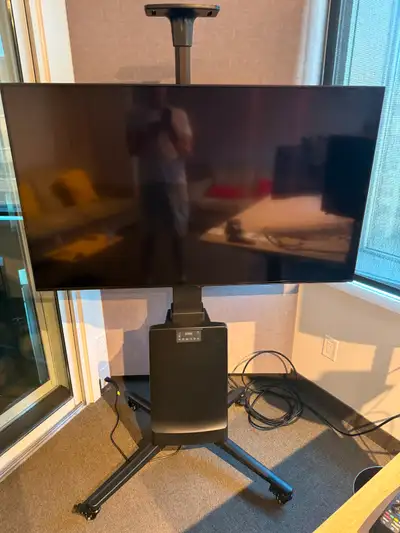 LG Nanocell 55" recent flat screen TV on rolling motorized stand, View more