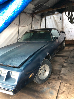 1979 Pontiac Firebird