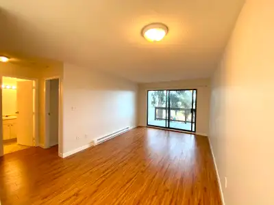 Beautiful Cozy 1  Bedroom In Metrotown