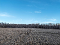 2.34 Acres partially Treed Lot, ready to build!