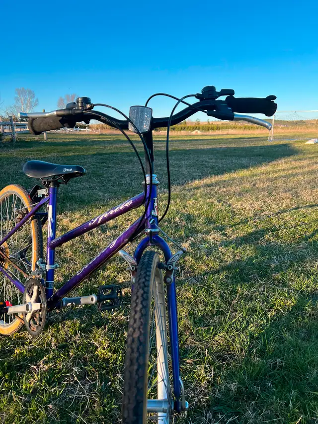 2 Raleigh bikes in Other in Charlottetown - Image 8