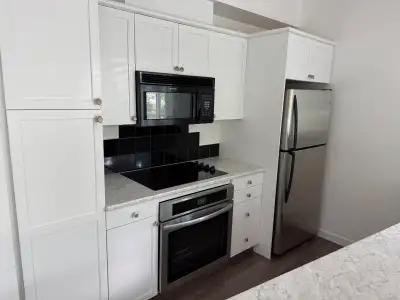 Great 2 Bedroom Downtown Condo for Rent