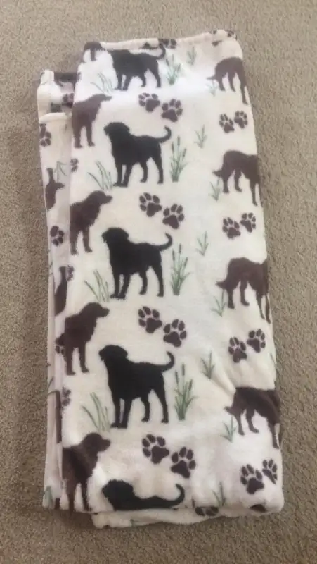 Dog Blanket in Accessories in Saskatoon - Image 2