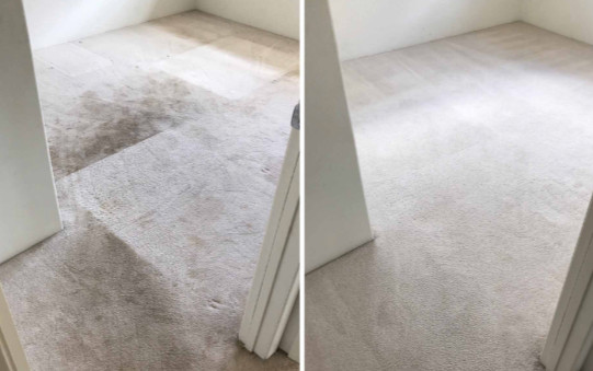 Deep Carpet Cleaning in GTA - 647-928-4296 in Cleaners & Cleaning in Oshawa / Durham Region - Image 3
