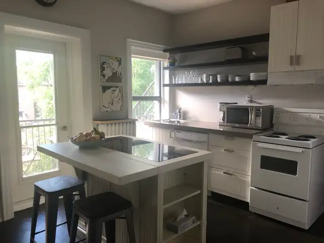 2 bedroom plus den in Riverdale in Long Term Rentals in City of Toronto - Image 3