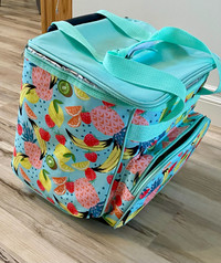 Portable  Insulated cooler bag on wheels.. 