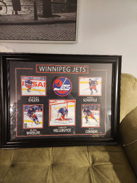 Winnipeg Jets Framed picture