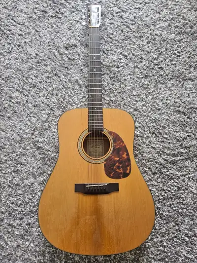 Recording King RD-T16, View more