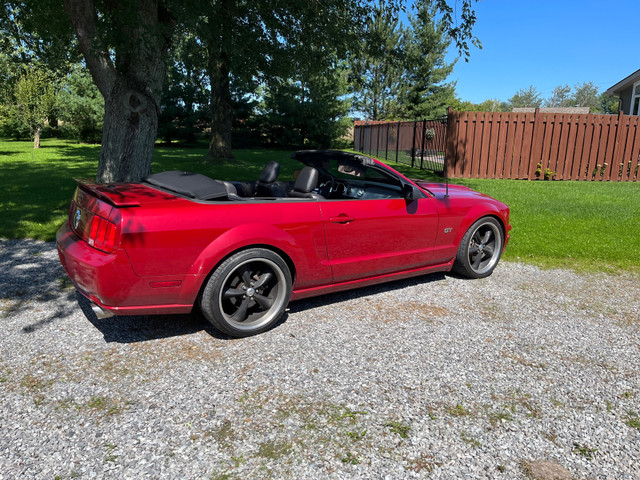 2008 mustang GT convertible  in Cars & Trucks in St. Catharines - Image 3