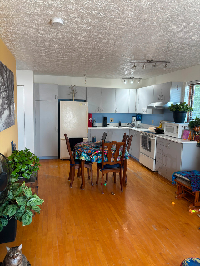 3 1/2 style LOFT ! dans Locations longue durée  à Sherbrooke - Image 2