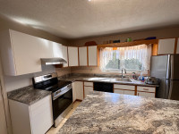 Custom Kitchen Cabinets and Counters