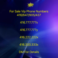416,647,905 Area Code Phone Numbers For Business orPersonal Use