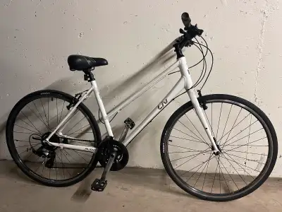 Giant Alight Liv Aluminium Large 5.6-5.11’ Tuned up Ready to Ride Hybrid Women’s step-through Bicycl...
