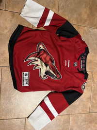 Kids Arizona Coyotes jersey 