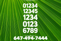 12345,1234,6789,0123 Special Vip lucky phone numbers 