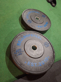Pair of 45 lbs Olympic Bumper Plates