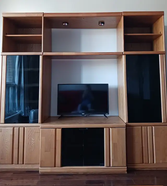 Wall unit (TV not included) in TV Tables & Entertainment Units in Ottawa - Image 2