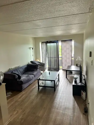 Chambre à louer