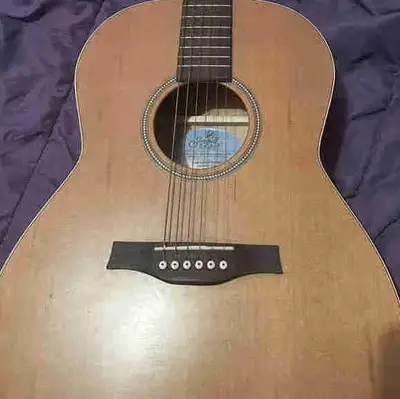 seagull acoustic guitar, View more