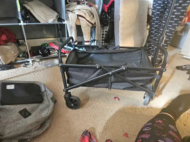 Mini Collapsible Wagon in Other in Ottawa - Image 2