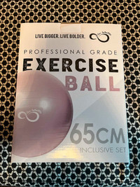 Exercise ball