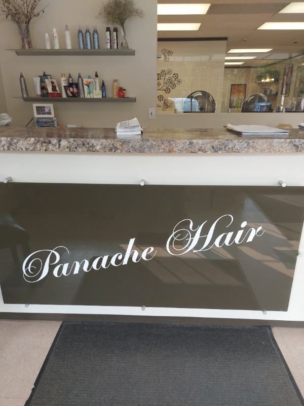 Salon chair rental in Health and Beauty Services in St. Albert - Image 2