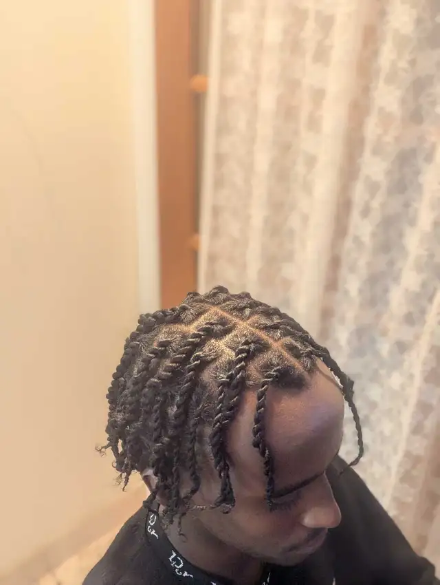 Hair Braiding, Cornrows, Twists etc!!!64840196155267123