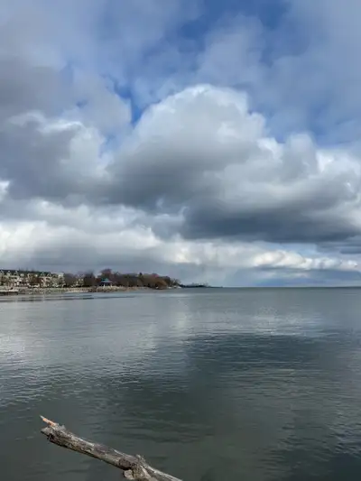 Ride avilable From Brampton to Vaughn , View more