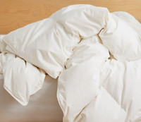 IKEA Mysa Ronn Twin Size Down Duvet Comforter