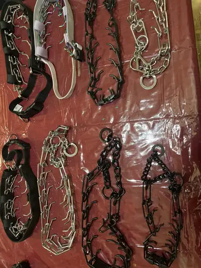 dog training collars , View more