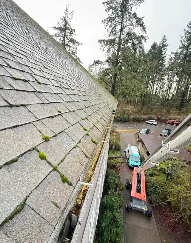 ⚡ Moving, Eavestroughs/Gutter Cleaning, Junk Removal SAME DAY482653214711500802
