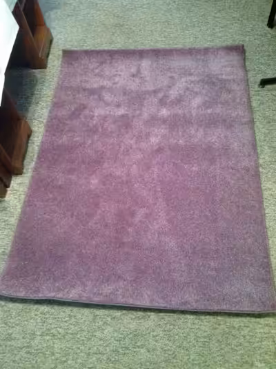 Tapis 48 pouces par 66 pouces Prix: 40$ Argent comptant seulement (pas de virement bancaire, chèque,...