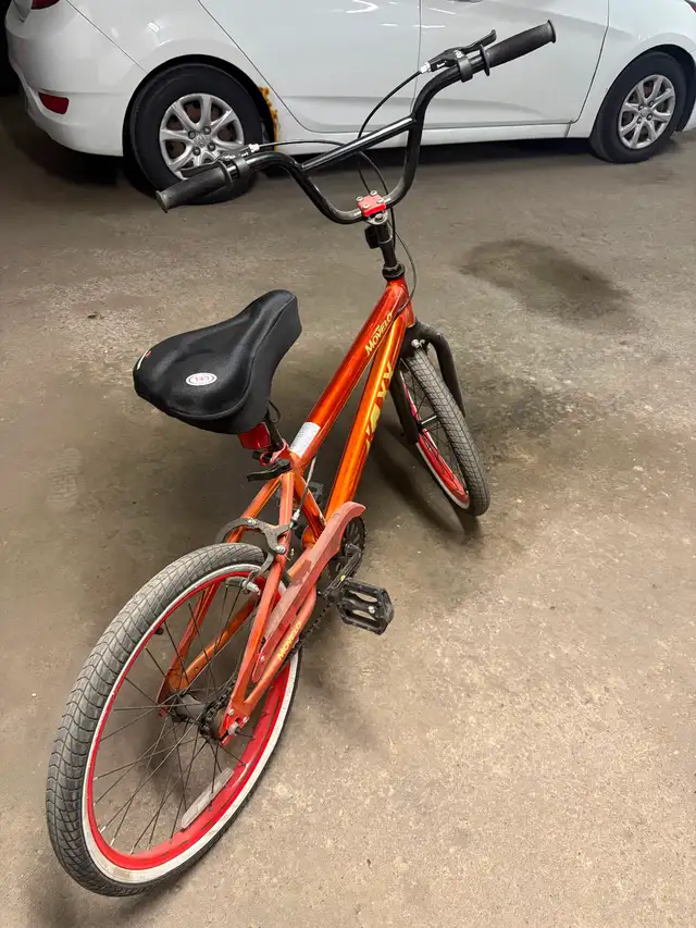 20 “ Bicycle529839436030300163