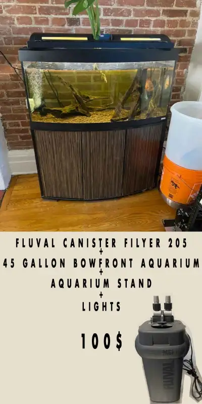 45 GL AQUA+STAND+LIGHTS+FILTER -  MOVING SALE 60$, View more