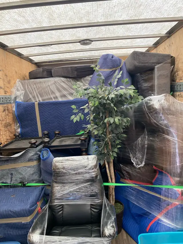 Pro Punjab Movers65561302048385124